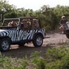 Fotograma coche todoterreno blanco con rayas de cebra Jeep CJ-7 1976 de la película Ace Ventura: Operación África